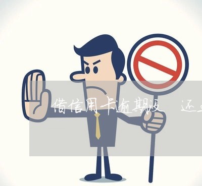 借信用卡逾期没 还五万